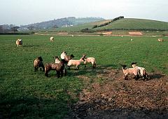 1974 UK Yorkshire Dales 013